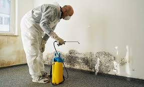 Best Environmental Consulting for Mold Prevention in Russiaville, IN